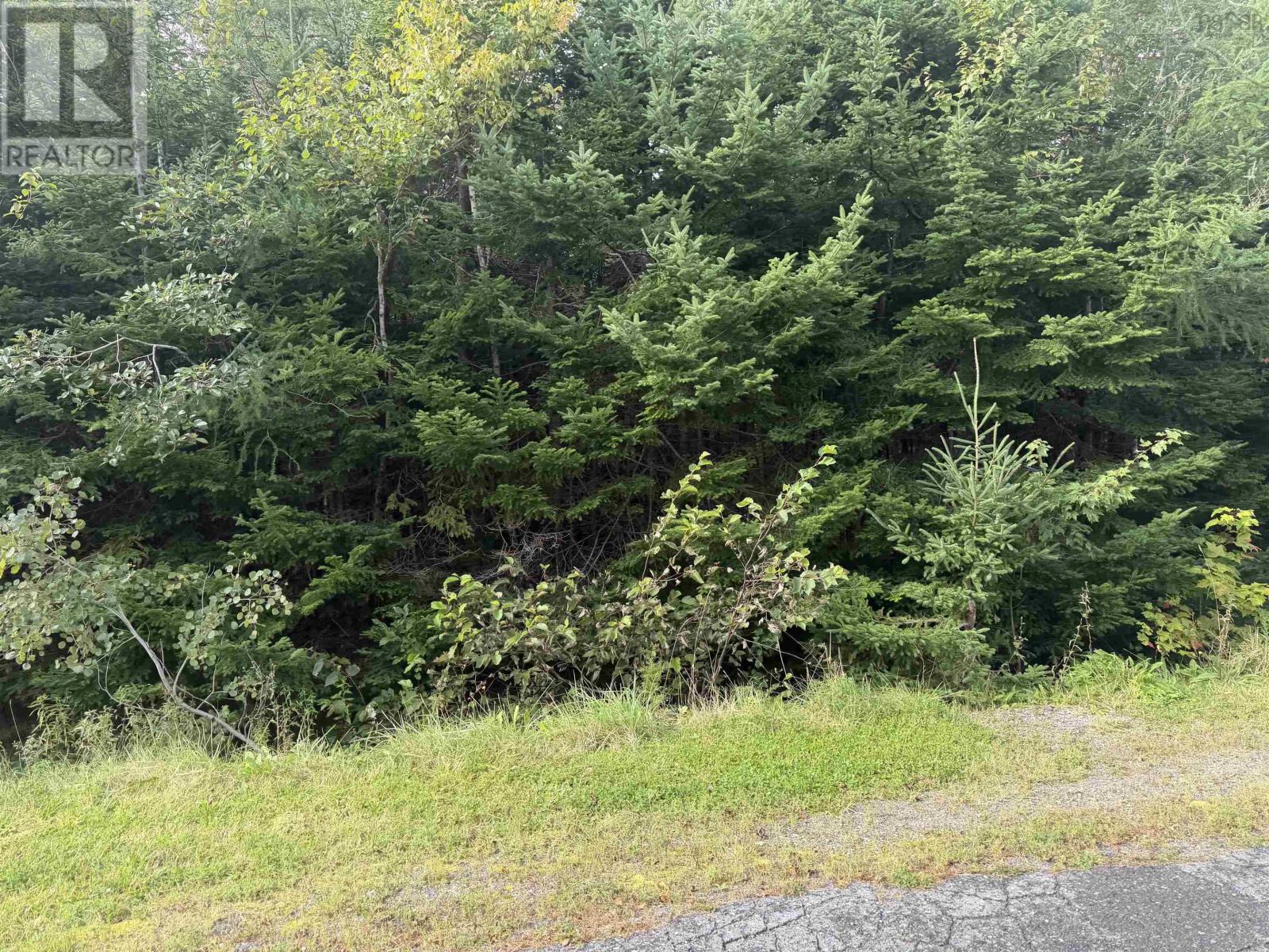 LOT 11 schaller Drive, sydney forks, Nova Scotia