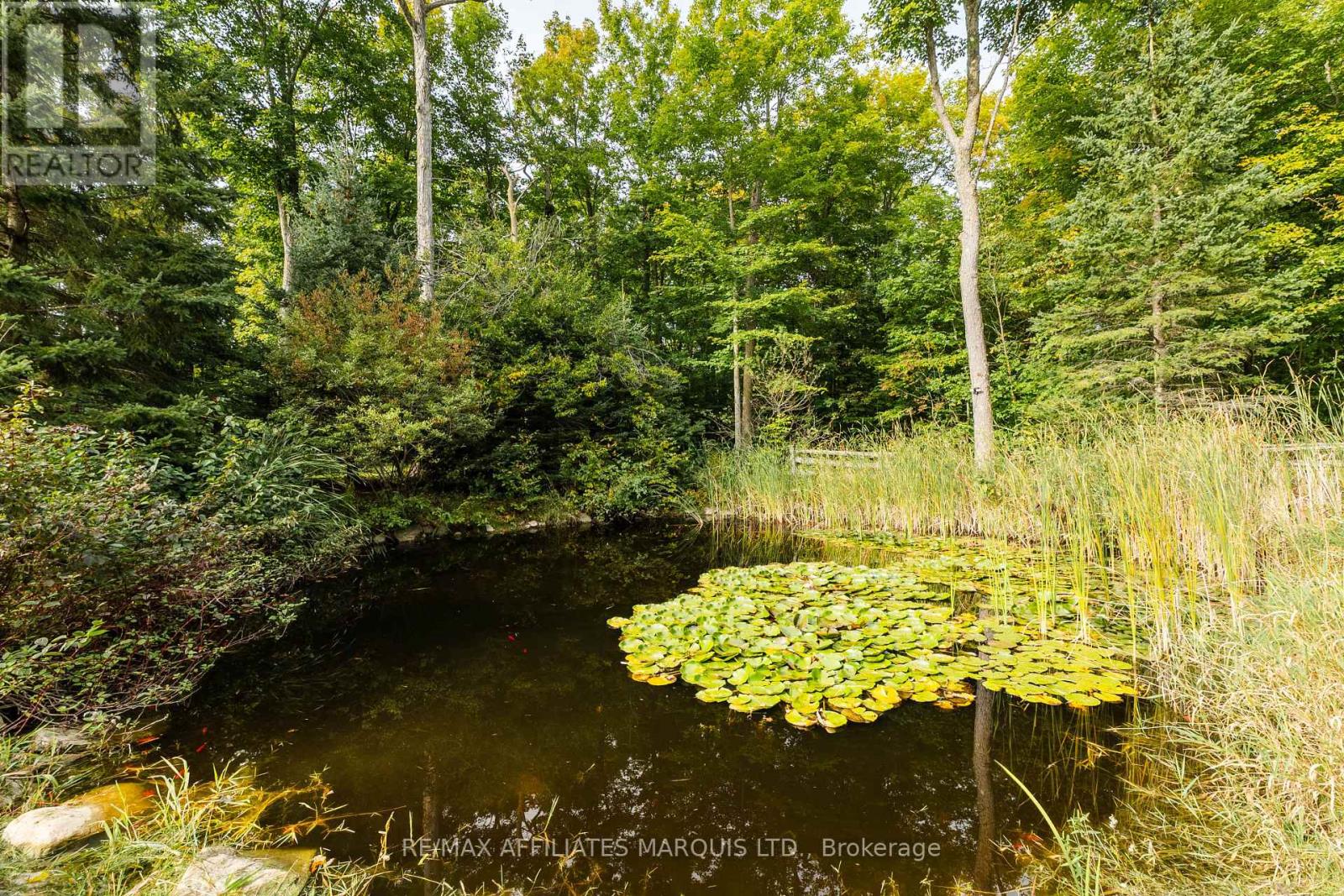 3993 Chapel Road, South Glengarry, Ontario  K0C 1B0 - Photo 41 - X13822120