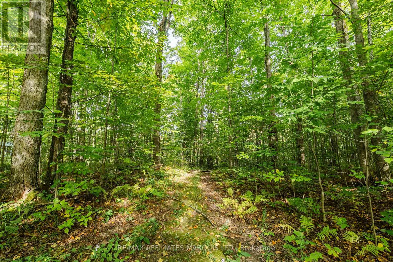 3993 Chapel Road, South Glengarry, Ontario  K0C 1B0 - Photo 44 - X13822120