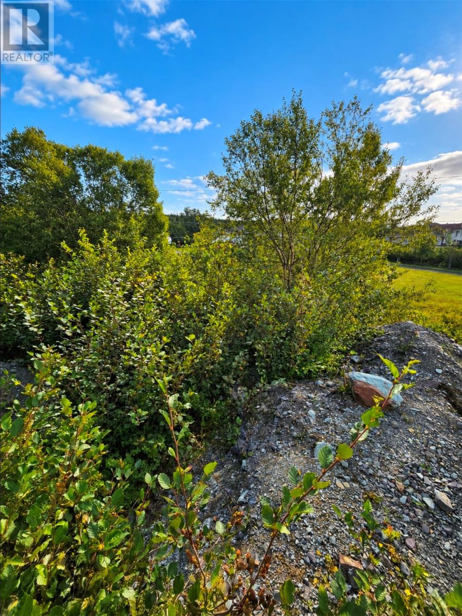 25 Newfound Lane, Bay Roberts — photo 6