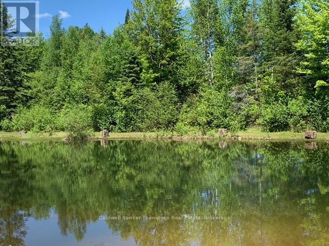 57 Rattray Road, Perry, Ontario  P0A 1J0 - Photo 44 - X13822204