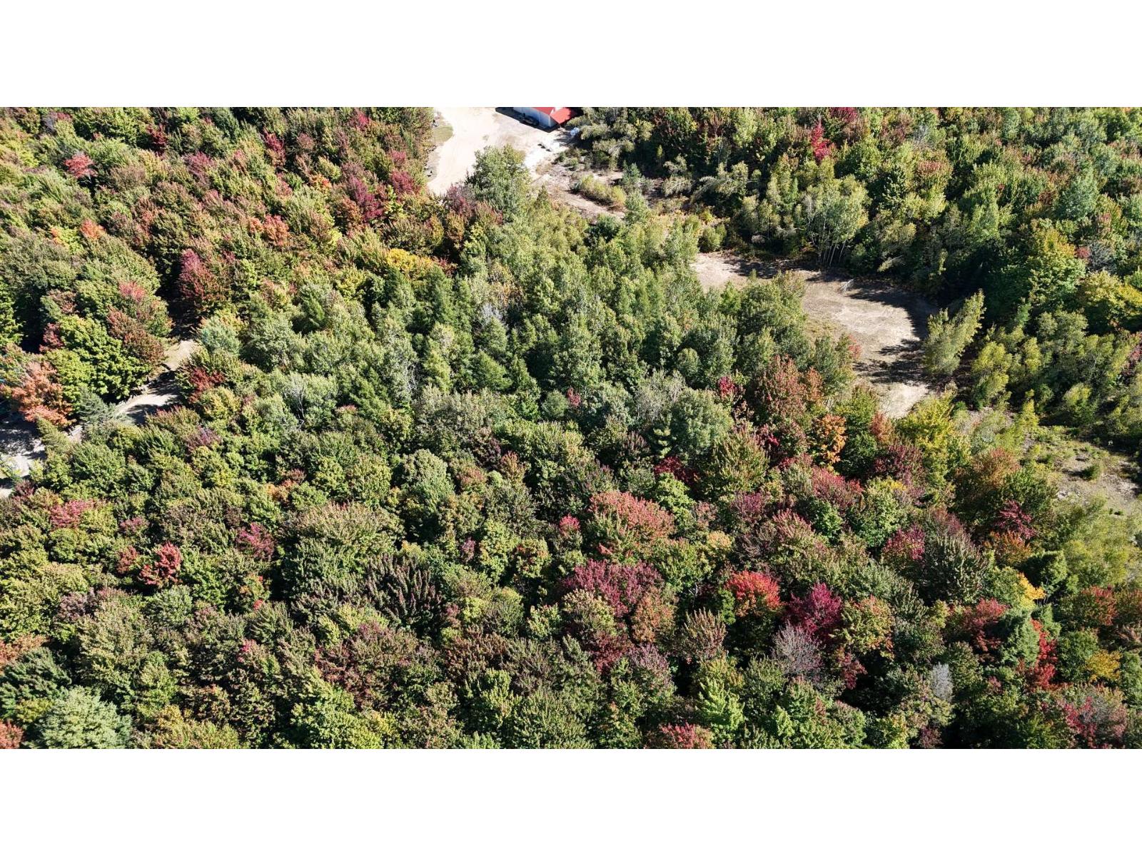 110 Rue Yergeau Saint-Félix-de-Kingsey Quebec Canada J0B2T0 5