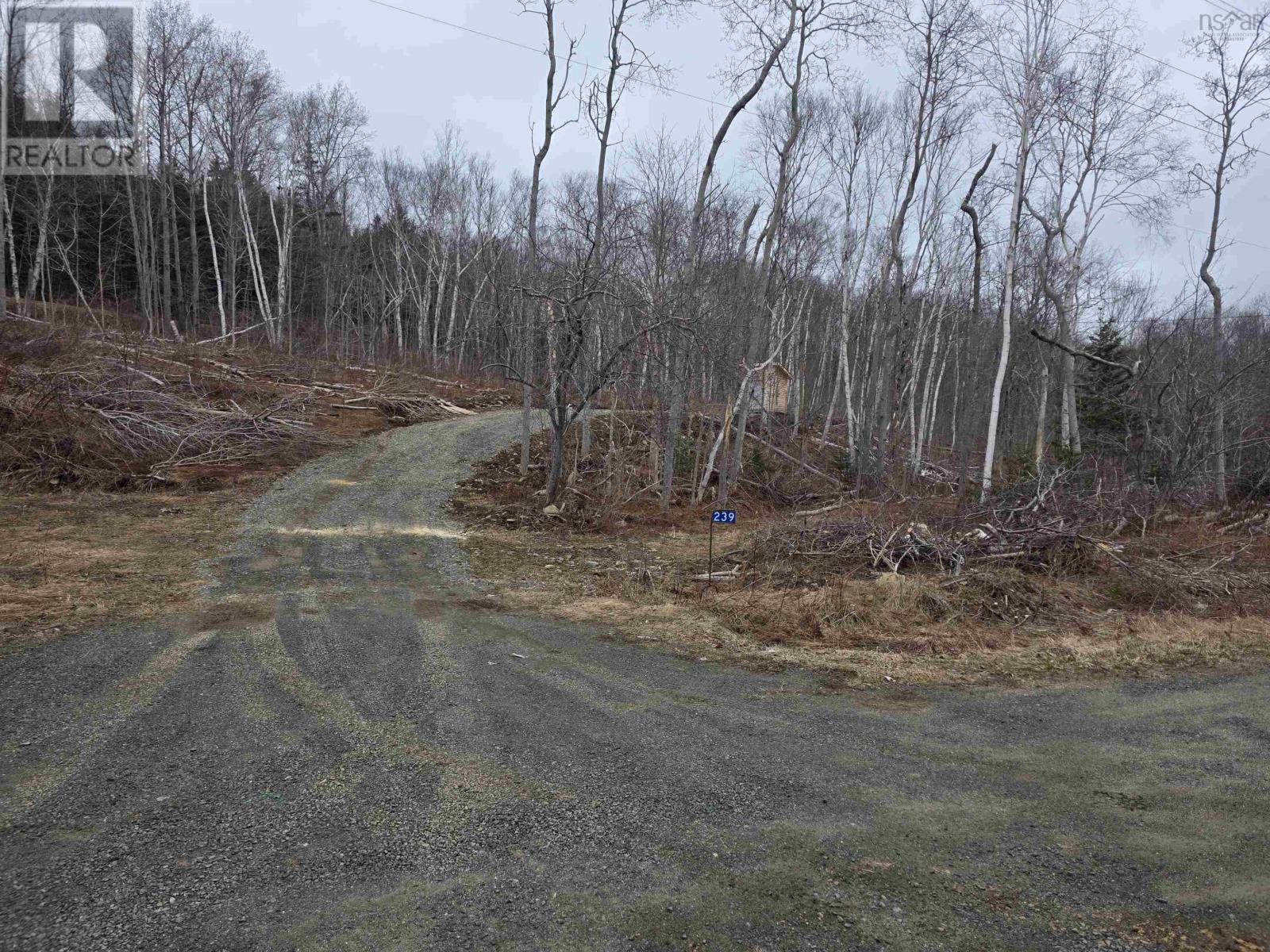 Lot 2 239 Sissiboo Road, Weymouth, Nova Scotia  B0W 3T0 - Photo 1 - 202605878