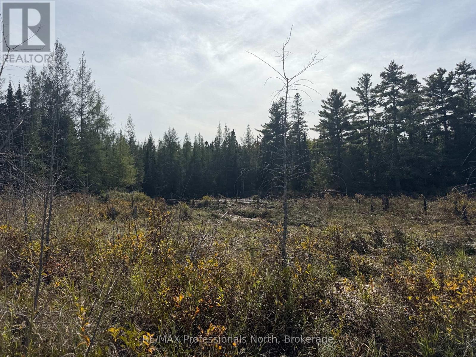 0 Stisted Road, Mcmurrich/monteith, Ontario  P1H 2J2 - Photo 23 - X13822276