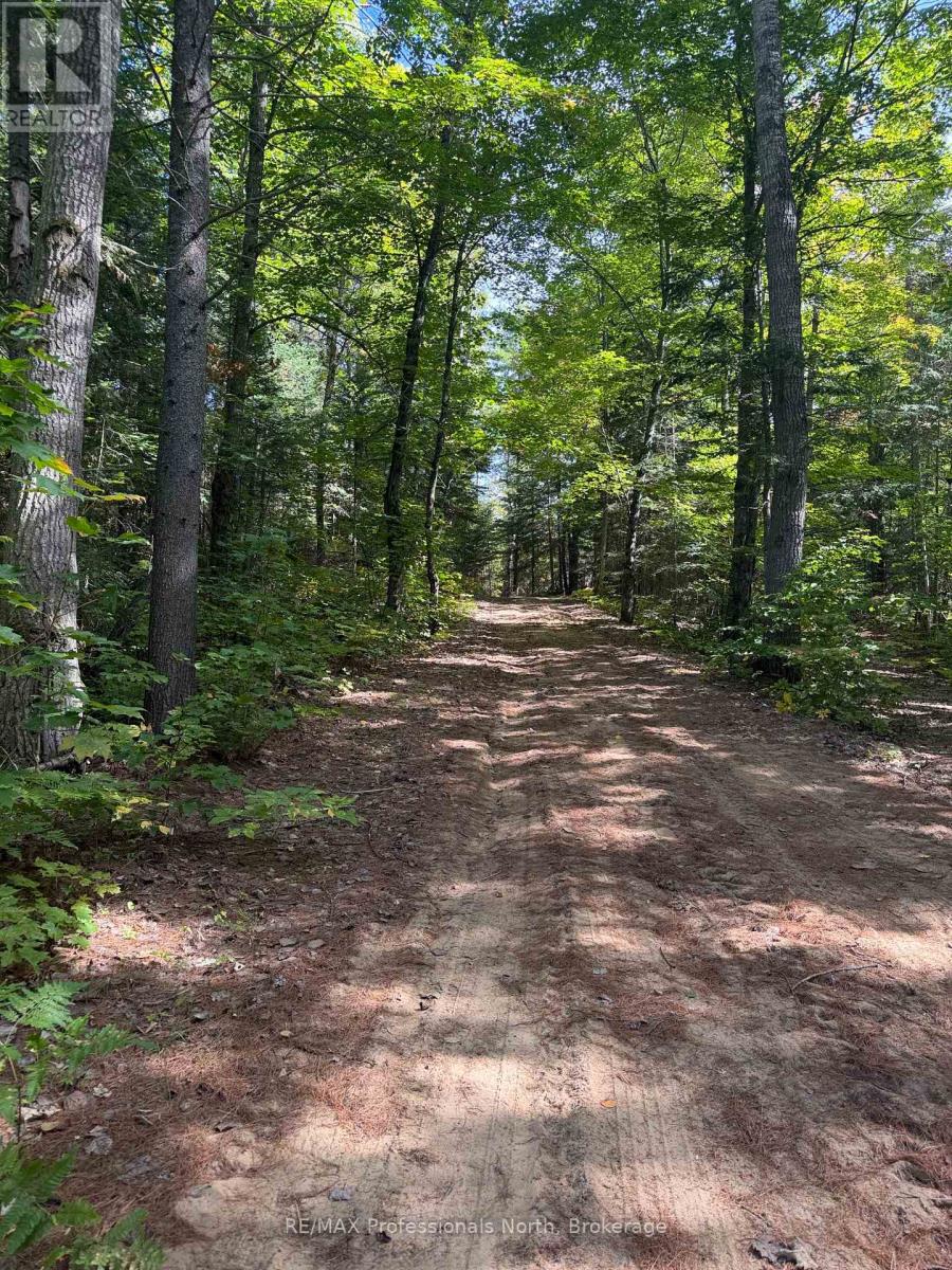 0 Stisted Road, Mcmurrich/monteith, Ontario  P1H 2J2 - Photo 8 - X13822276