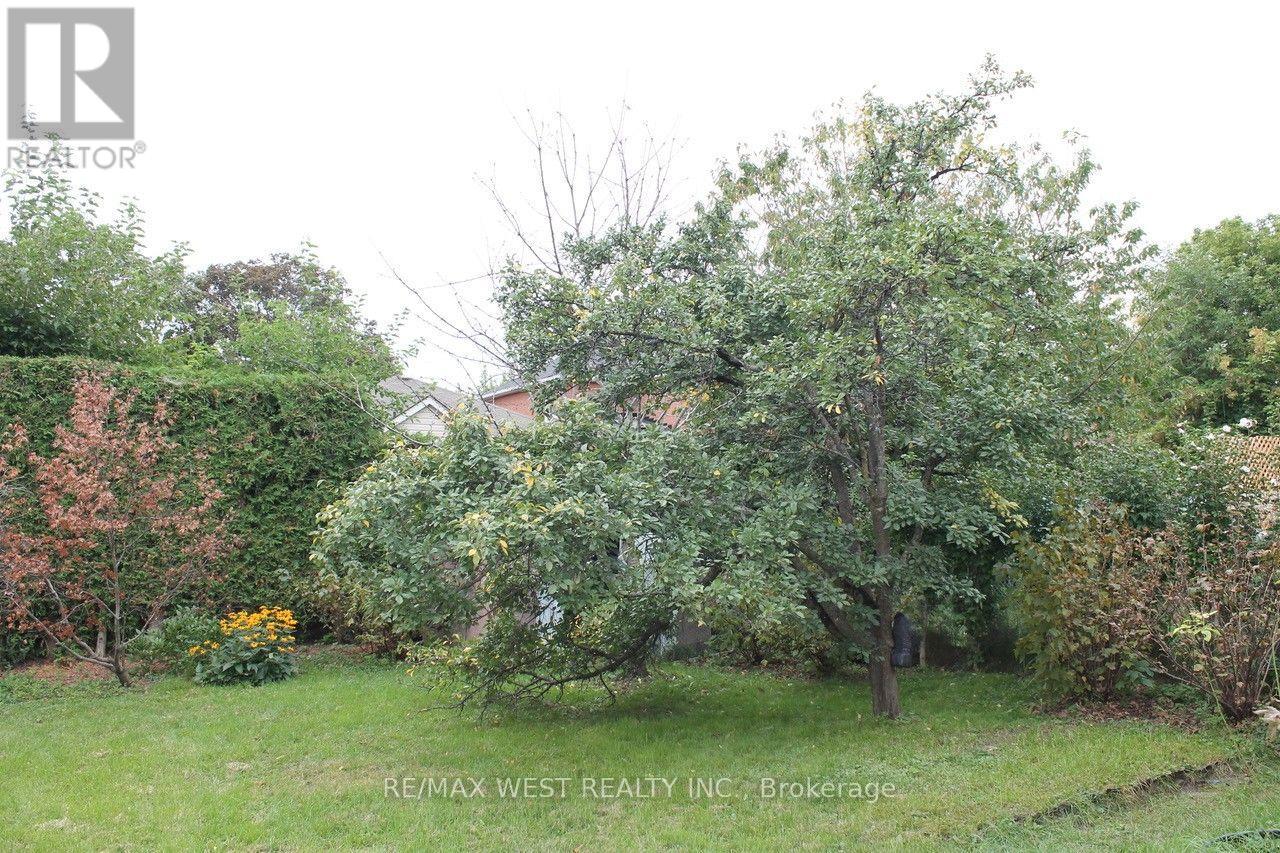 Main - 14 Treeview Drive, Toronto, Ontario  M8W 4B9 - Photo 13 - W13802910