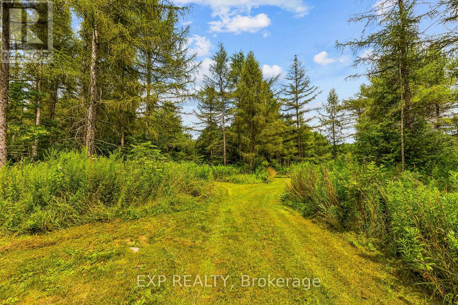 9307 Sideroad 9 Side Road, Erin, Ontario  N0B 1T0 - Photo 38 - X13822402