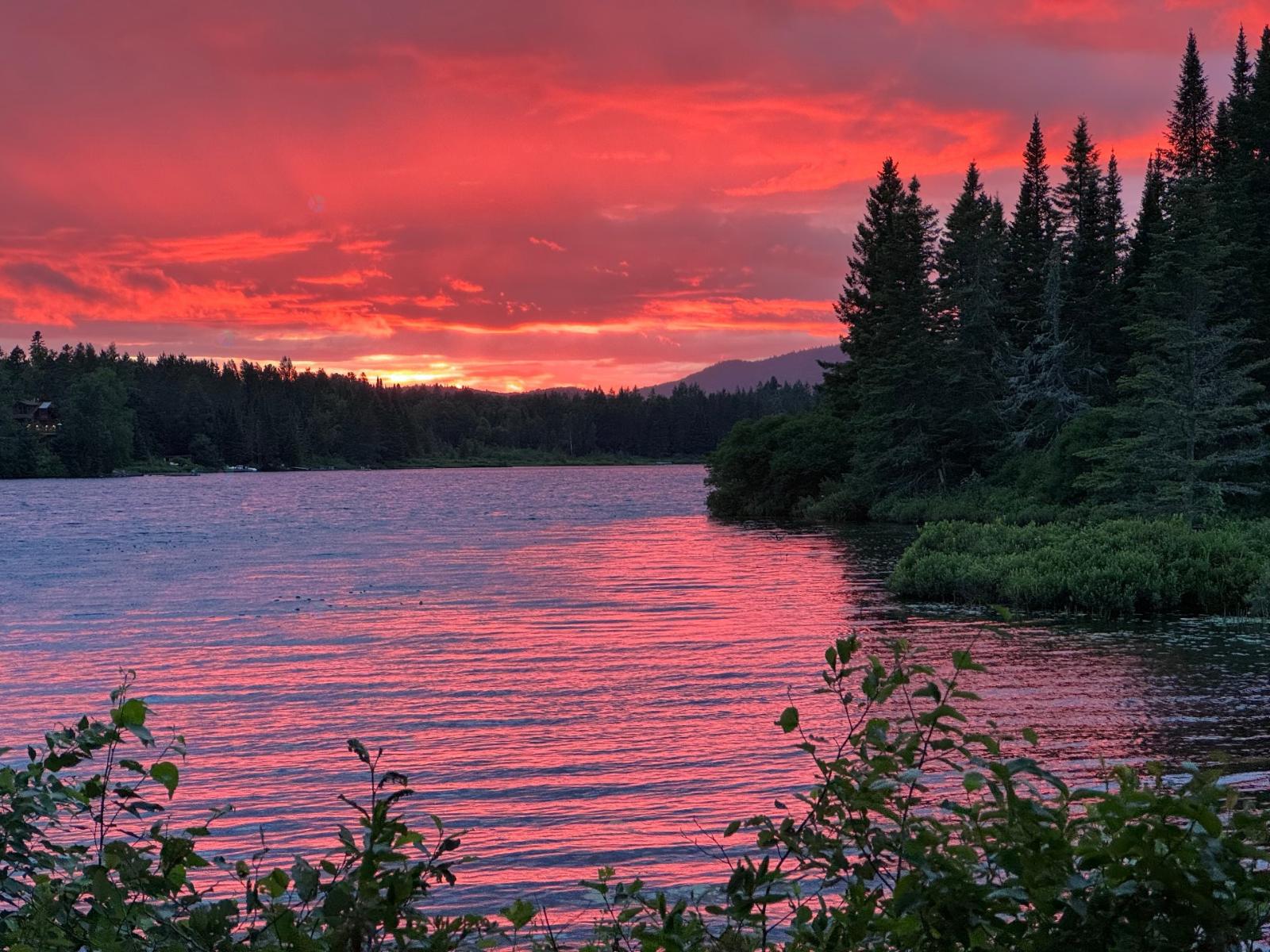 603 Ch. du Lac-Baribeau Saint-Donat Quebec Canada J0T2C0 5