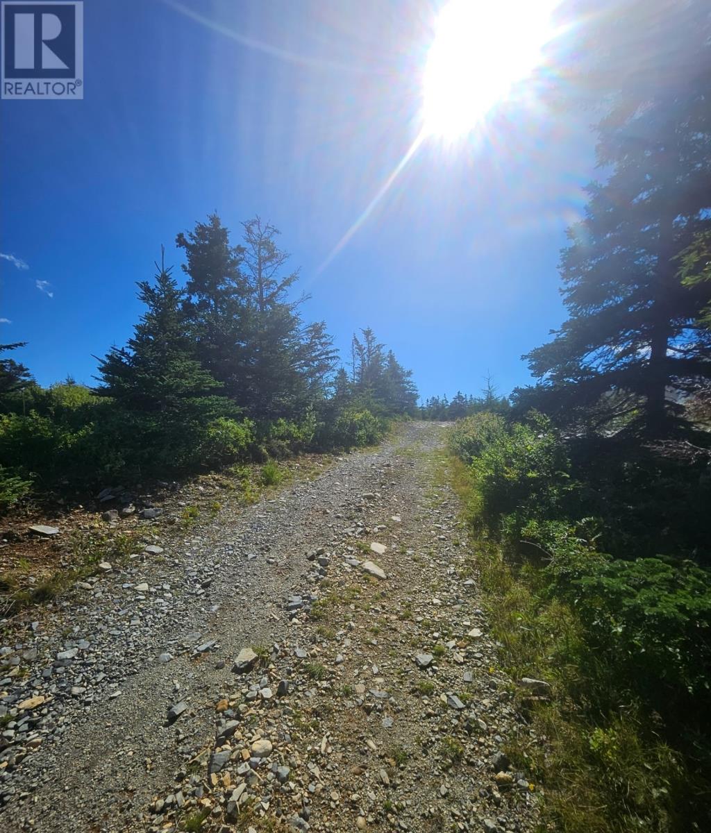 95A Chipmans Road, Spaniards Bay