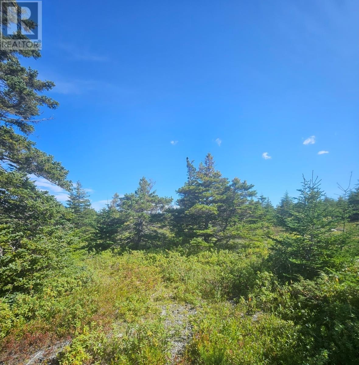 95A Chipmans Road, Spaniards Bay — photo 2