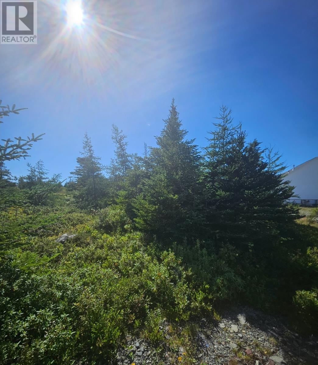 95A Chipmans Road, Spaniards Bay — photo 4