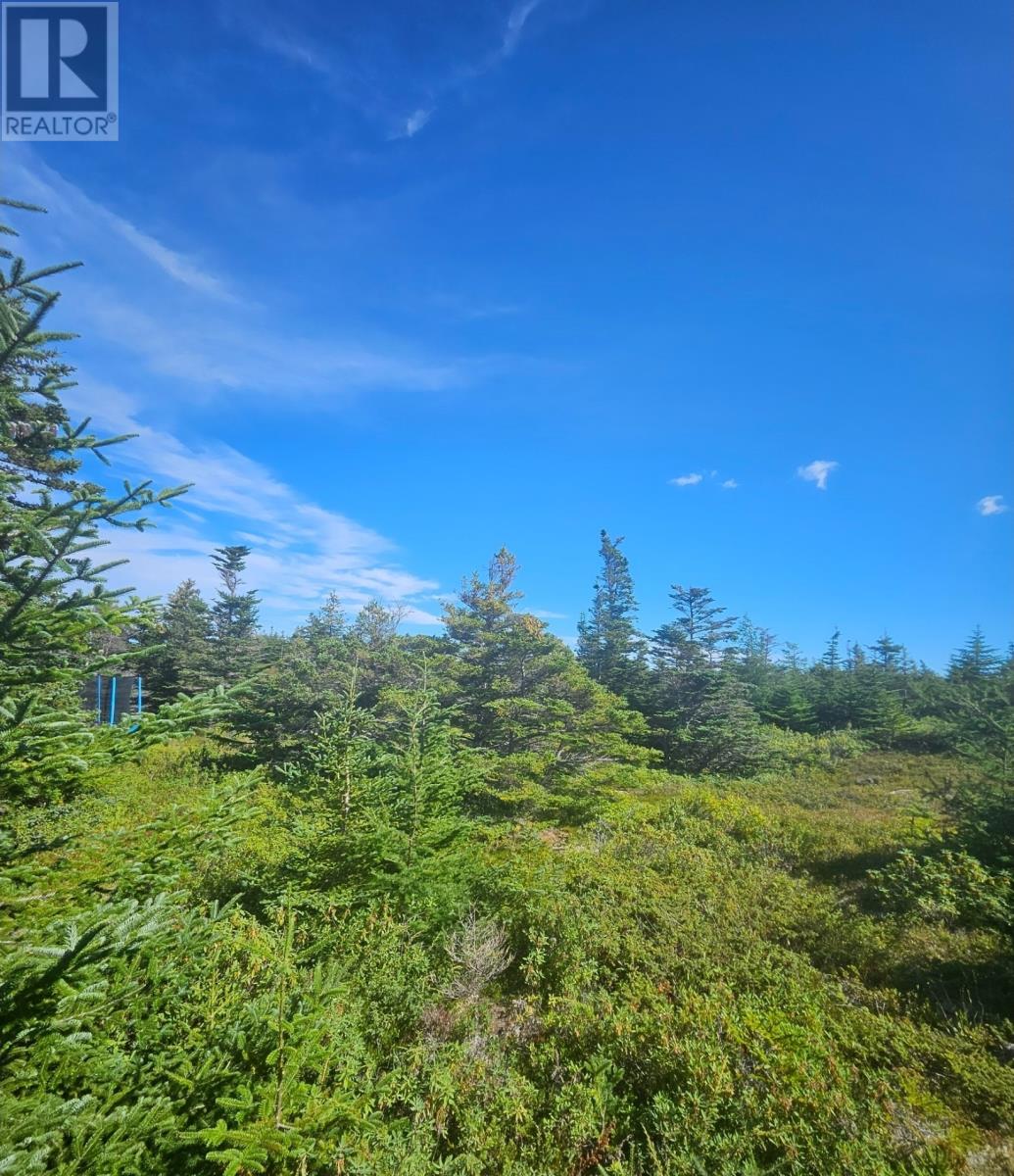 95A Chipmans Road, Spaniards Bay — photo 5
