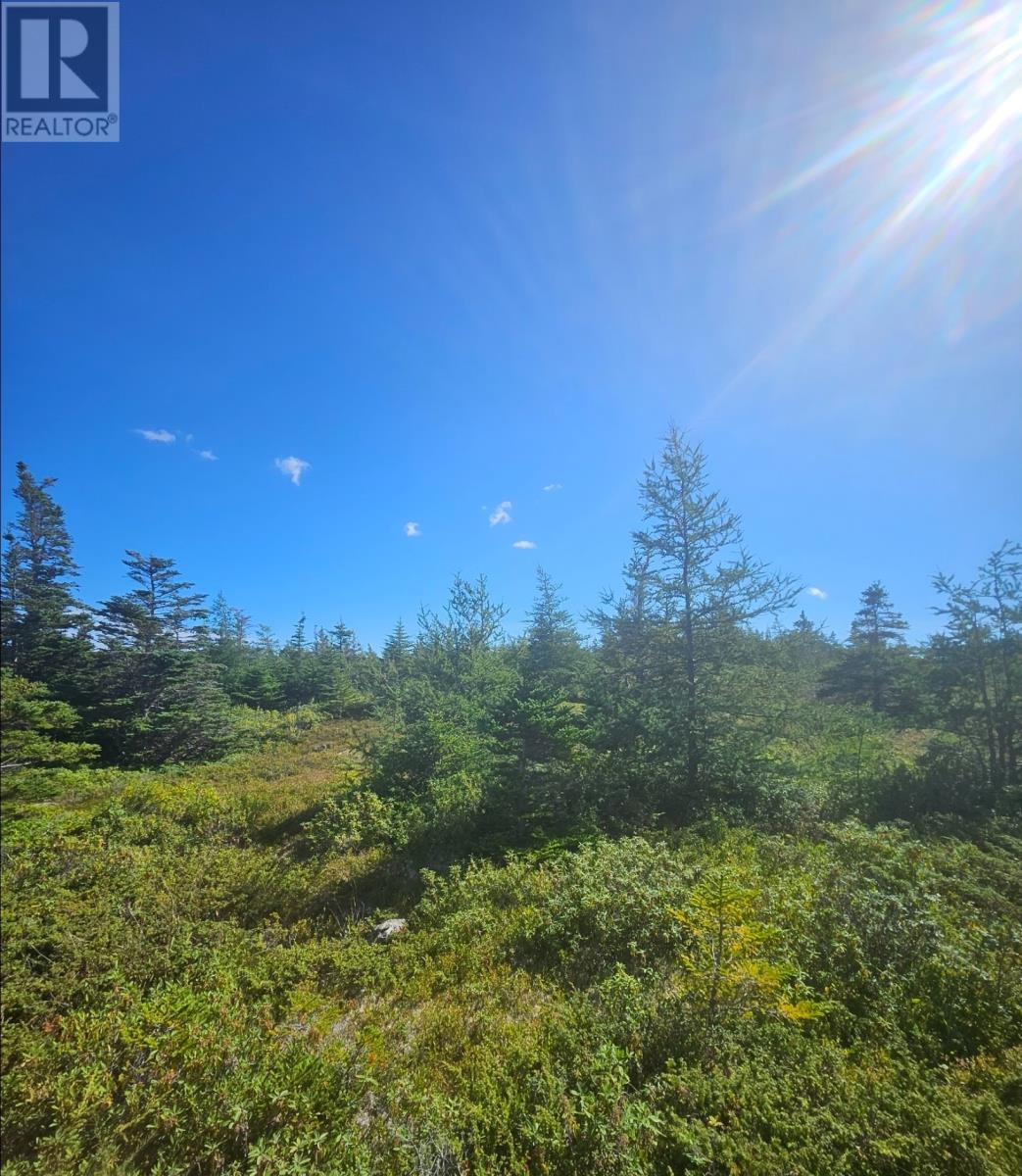 95A Chipmans Road, Spaniards Bay — photo 6
