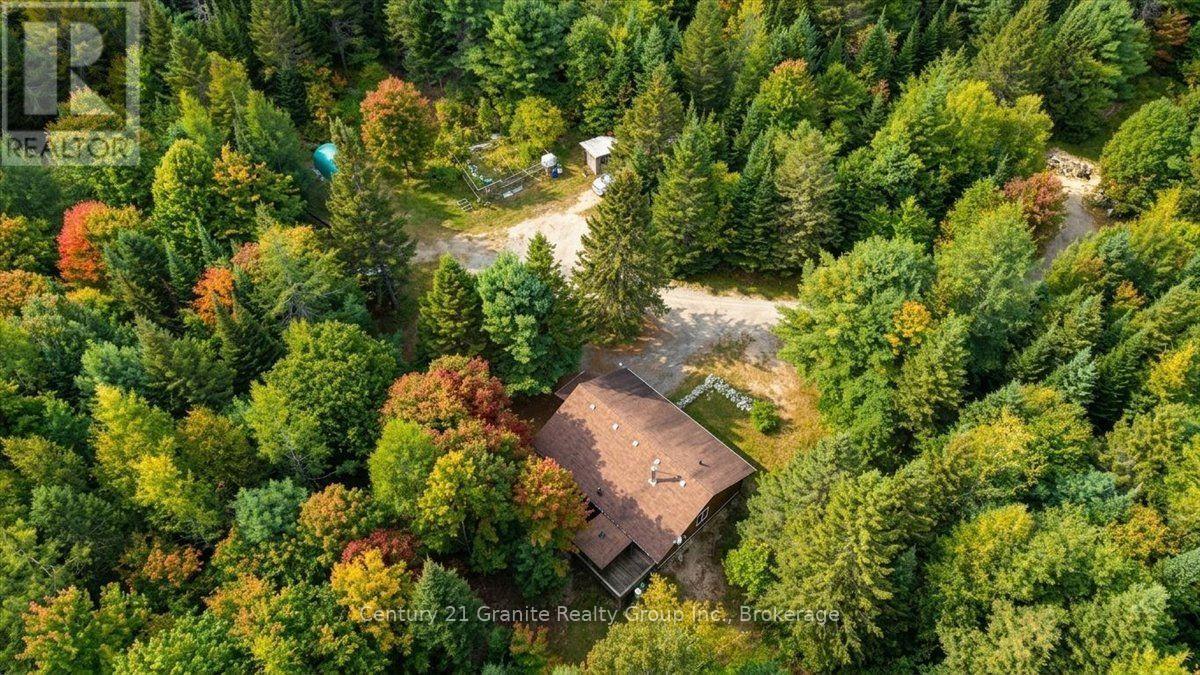 649 Madawaska Road, Hastings Highlands, Ontario  K0L 2S0 - Photo 45 - X13822812