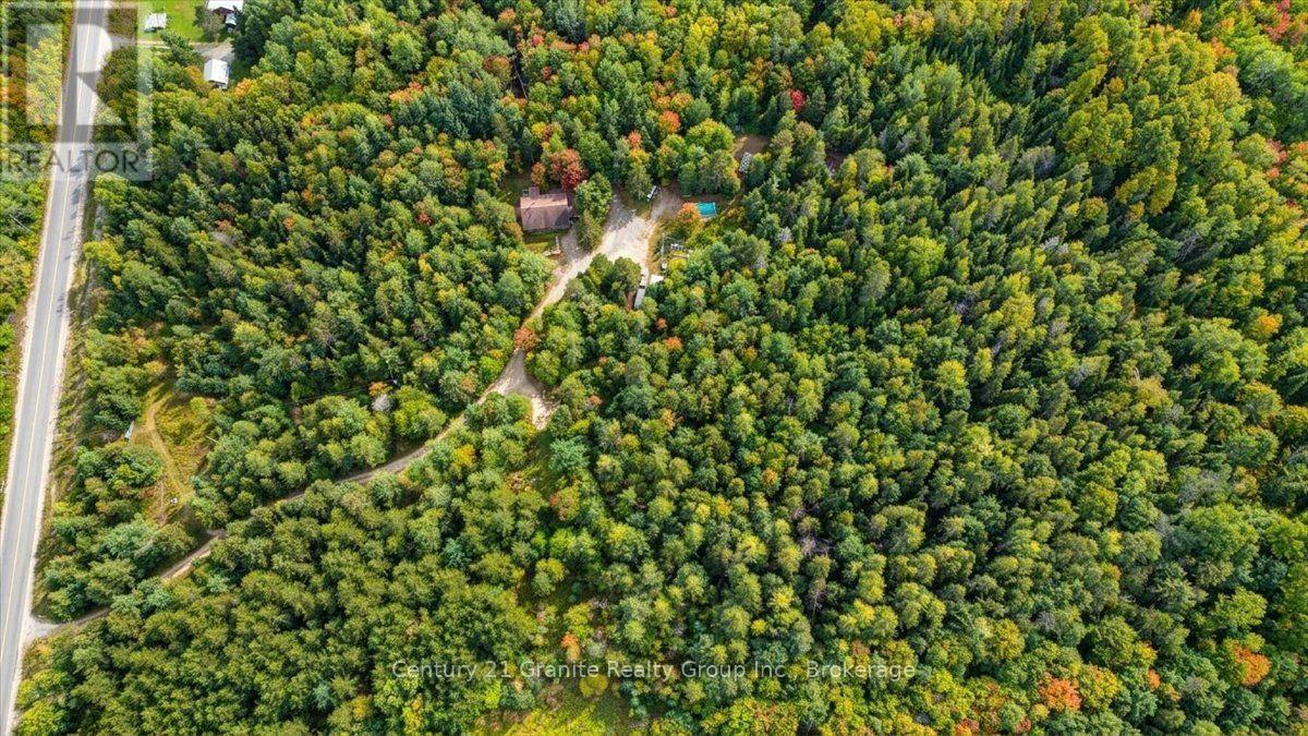 649 Madawaska Road, Hastings Highlands, Ontario  K0L 2S0 - Photo 46 - X13822812