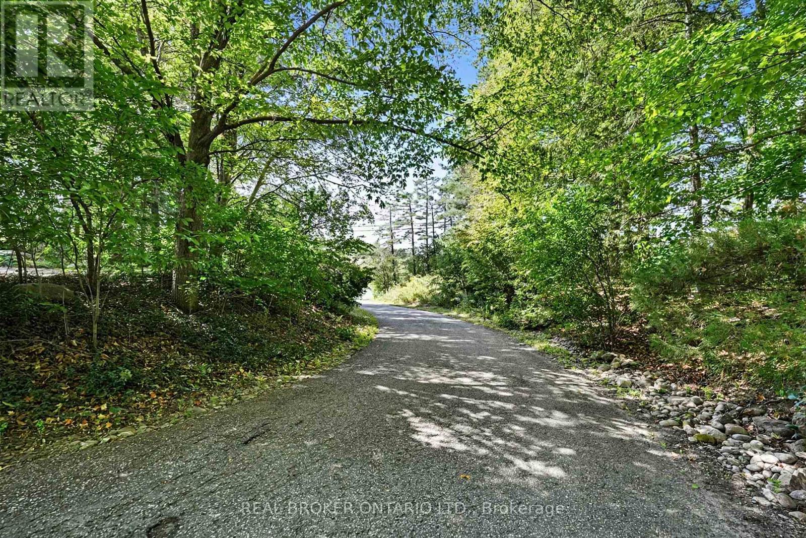 18061 Highway 48, East Gwillimbury (Mt Albert), Ontario L0G 1E0 - Photo 3 - N13822796