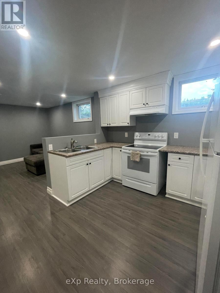 Bsmt - 1 Joyce Place, Guelph, Ontario  N1E 6P8 - Photo 3 - X13823316