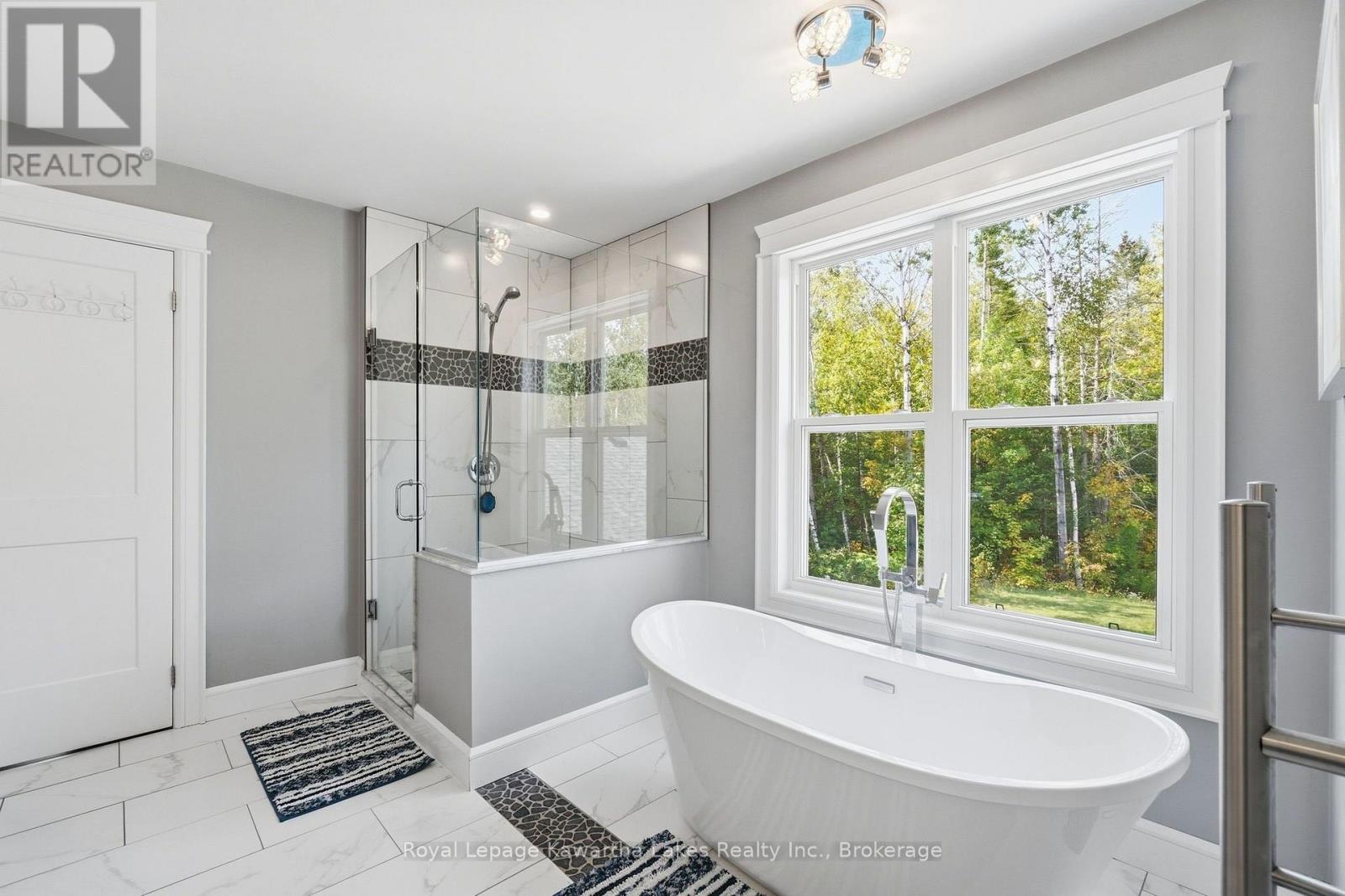 819 County 49 Road, Kawartha Lakes, Ontario  K0M 1A0 - Photo 25 - X13823286