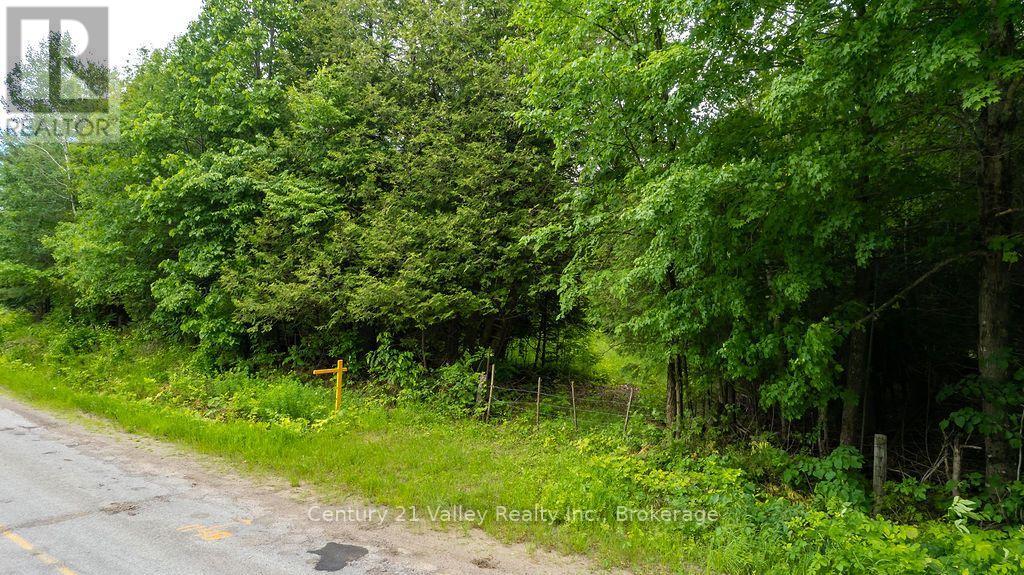 1148 Mt St Patrick Road, Admaston/bromley, Ontario K7V 3Z7 - Photo 2 - X13823550