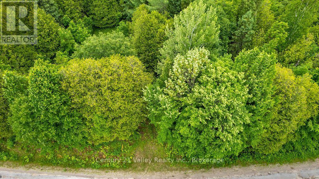 1148 Mt St Patrick Road, Admaston/bromley, Ontario K7V 3Z7 - Photo 3 - X13823550