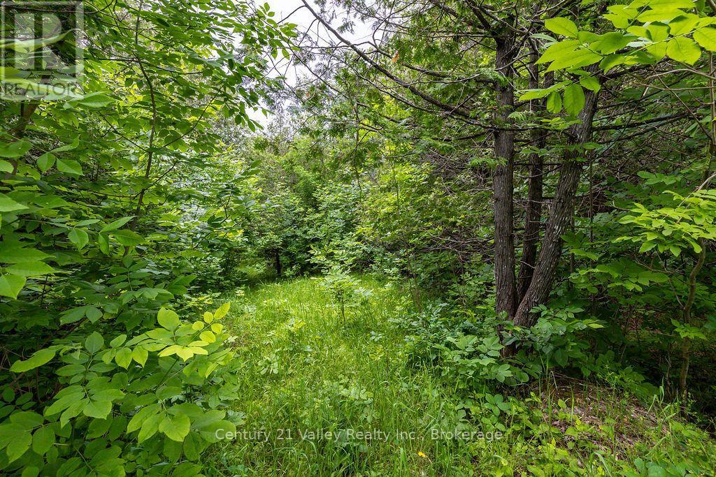 1148 Mt St Patrick Road, Admaston/bromley, Ontario K7V 3Z7 - Photo 4 - X13823550