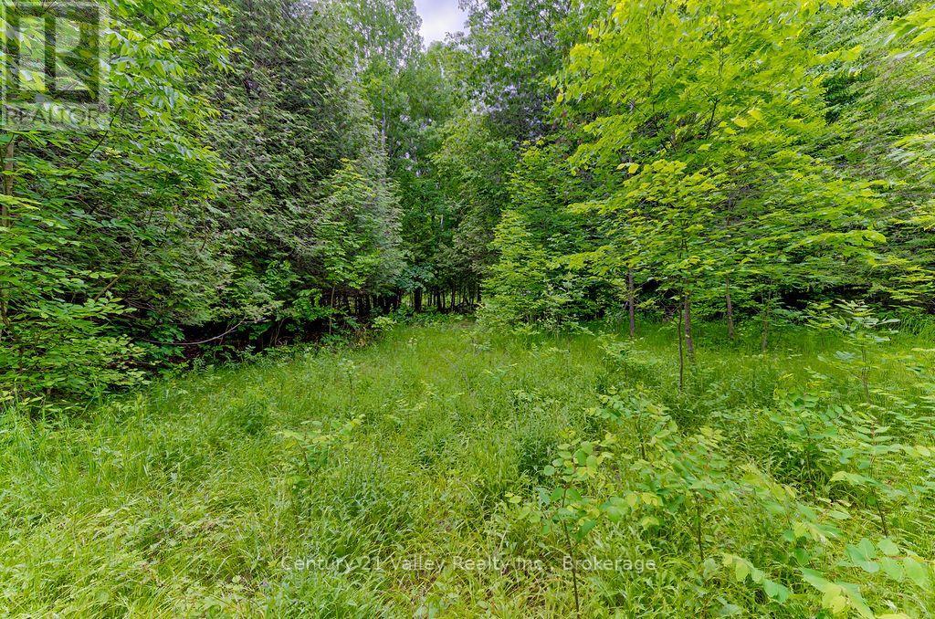 1148 Mt St Patrick Road, Admaston/bromley, Ontario K7V 3Z7 - Photo 5 - X13823550