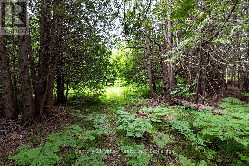 1148 Mt St Patrick Road, Admaston/bromley, Ontario K7V 3Z7 - Photo 6 - X13823550