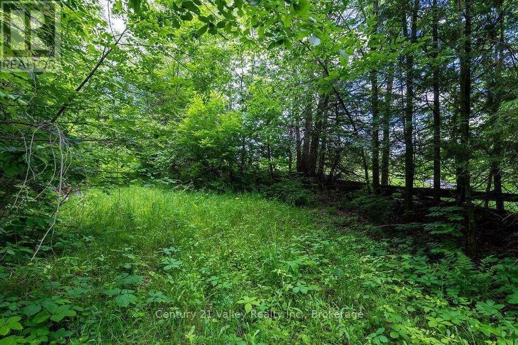 1148 Mt St Patrick Road, Admaston/bromley, Ontario K7V 3Z7 - Photo 7 - X13823550