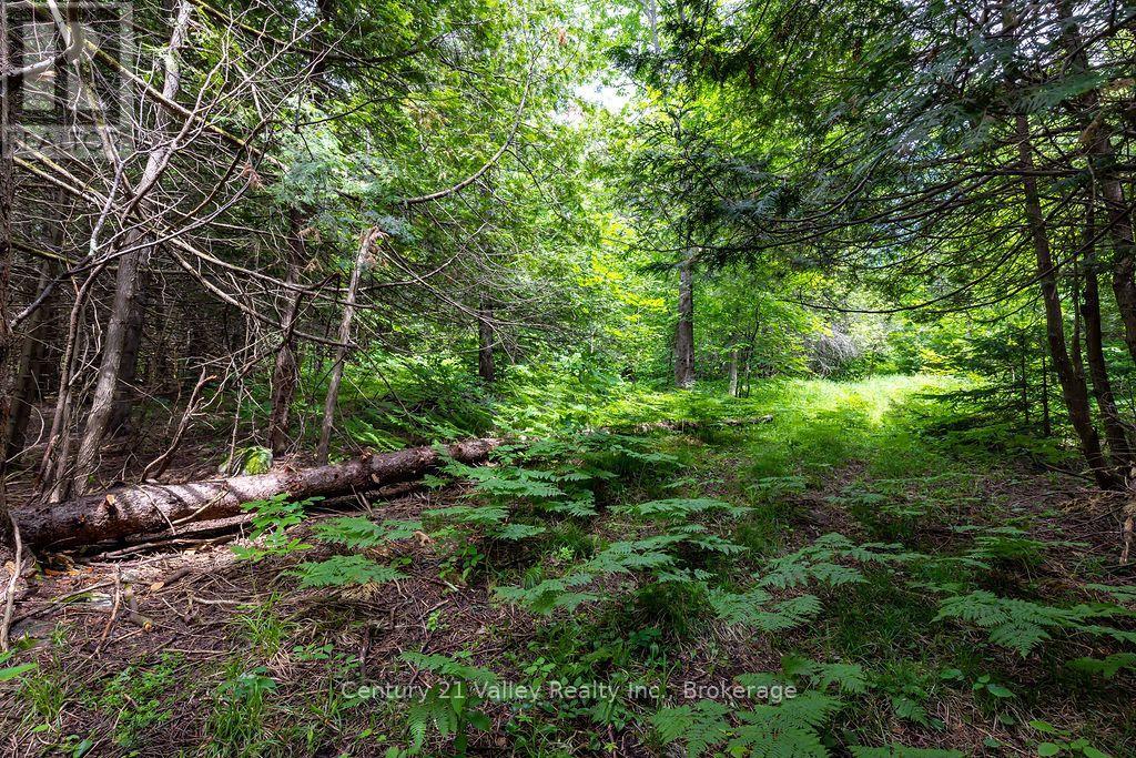 1148 Mt St Patrick Road, Admaston/bromley, Ontario  K7V 3Z7 - Photo 8 - X13823550
