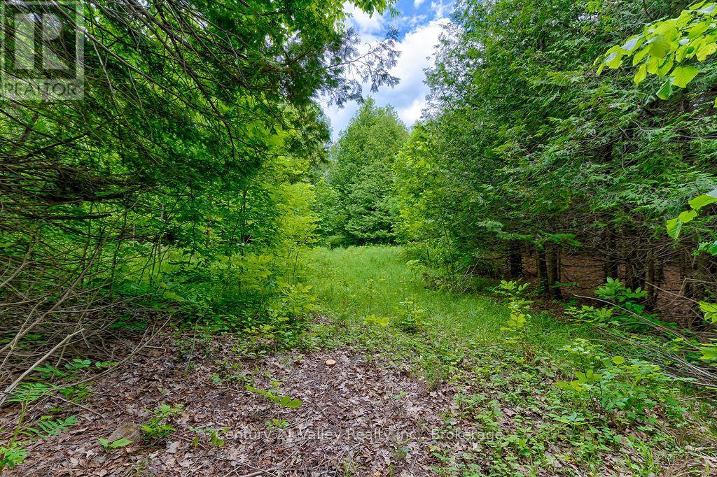 1148 Mt St Patrick Road, Admaston/bromley, Ontario  K7V 3Z7 - Photo 9 - X13823550