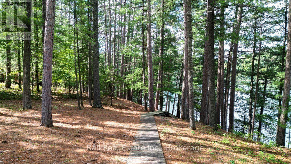 21 Lucerne Lake Drive, Faraday, Ontario  K0L 1C0 - Photo 10 - X13815854