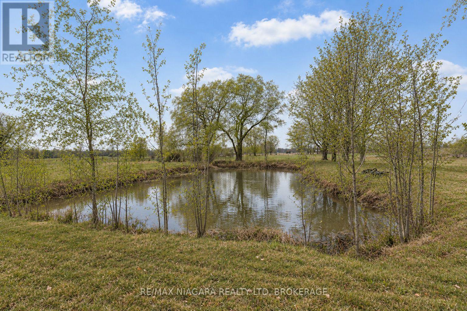 11292 Golf Course Road, Wainfleet, Ontario  L0S 1V0 - Photo 40 - X13533860
