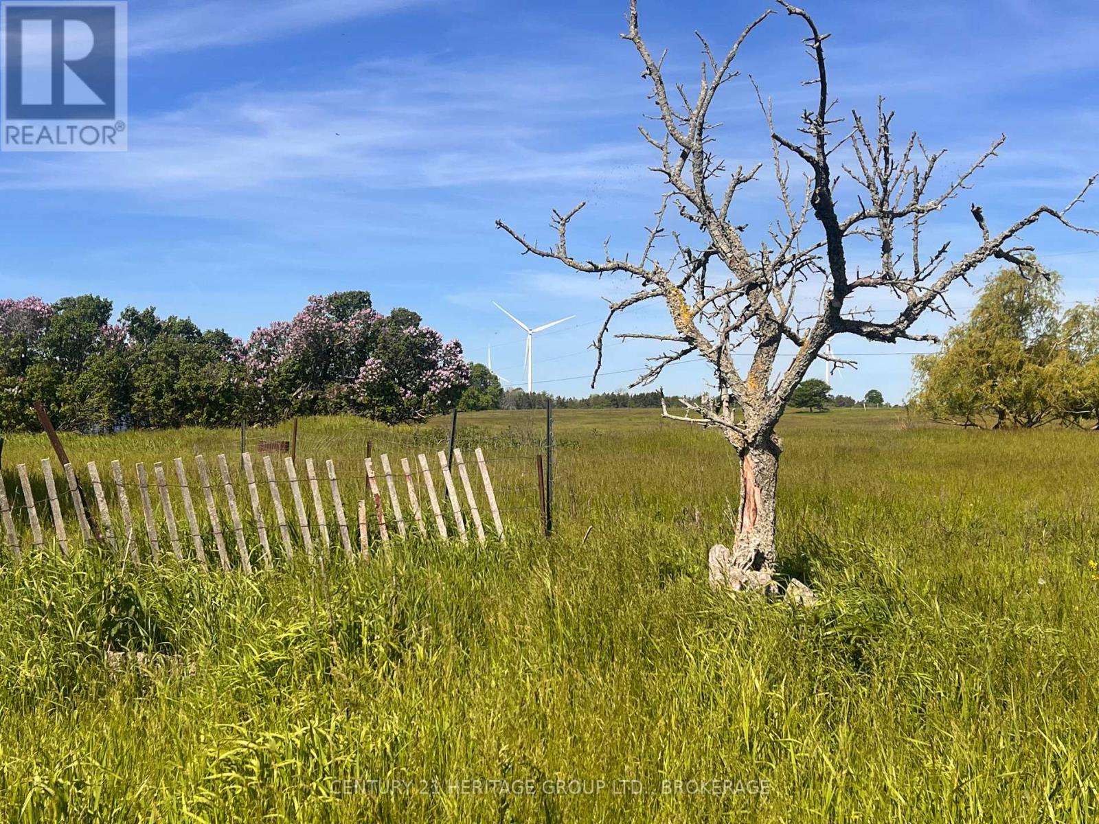 Lot 17 South Shore Road, Loyalist, Ontario K0H 2S0 - Photo 8 - X13823568