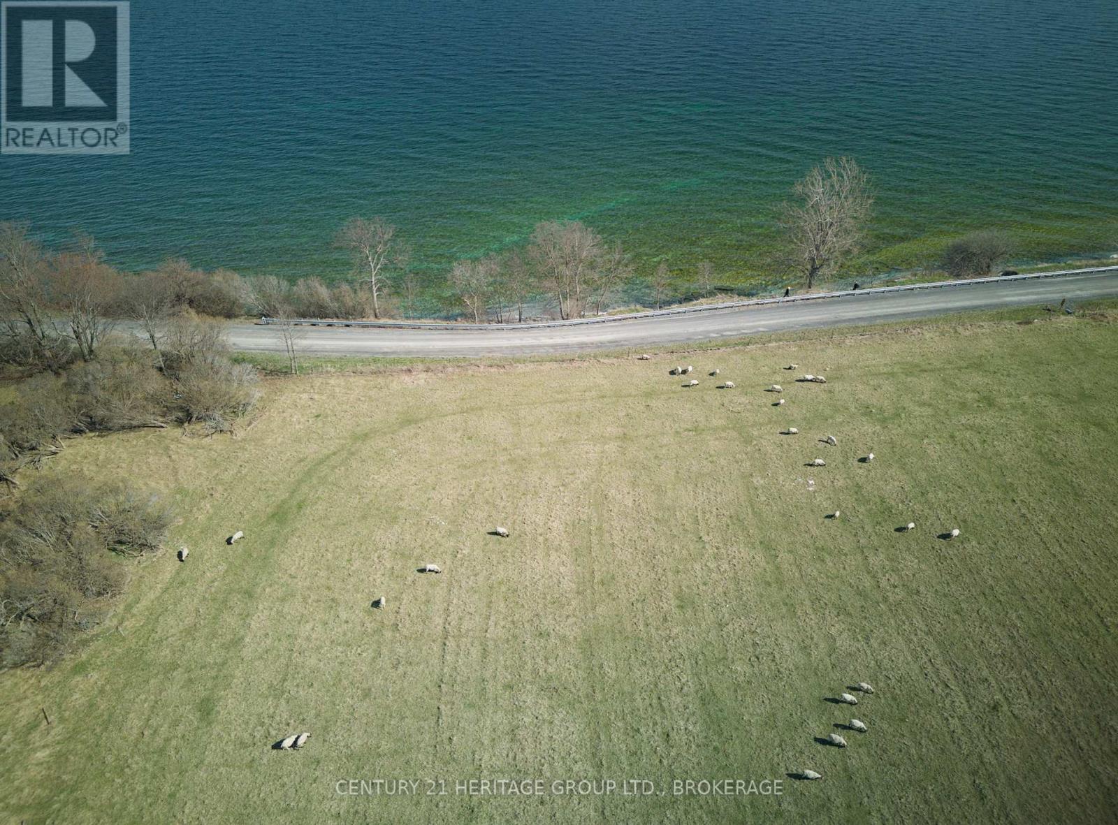 Lot 17 South Shore Road, Loyalist, Ontario K0H 2S0 - Photo 19 - X13823568