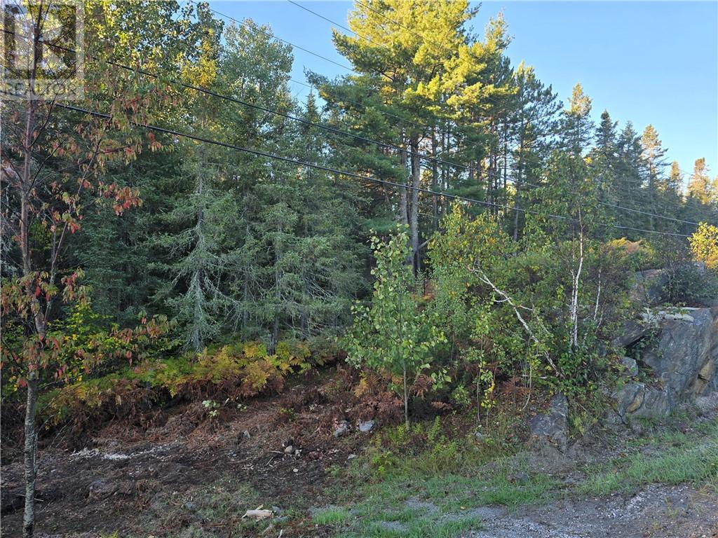 6042 Hwy 61, French River, Ontario  P0M 2K0 - Photo 2 - 2130548