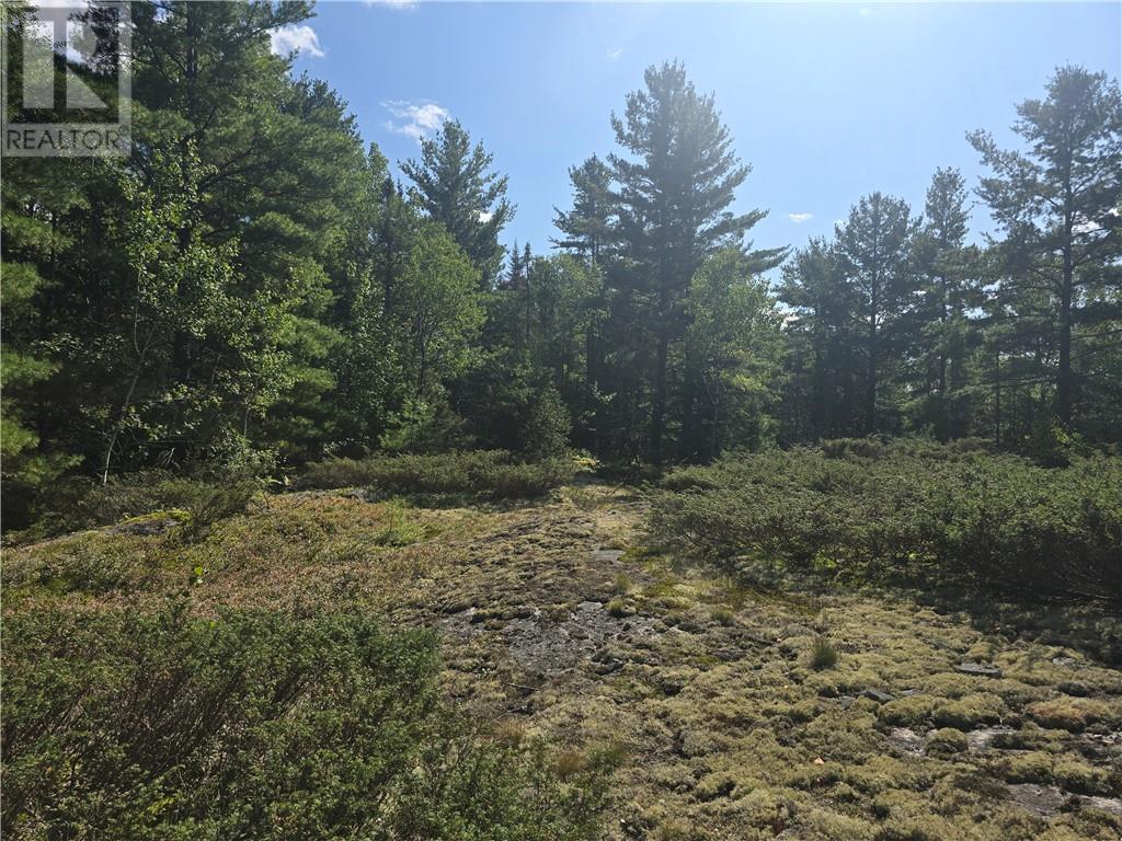 6042 Hwy 61, French River, Ontario  P0M 2K0 - Photo 6 - 2130548