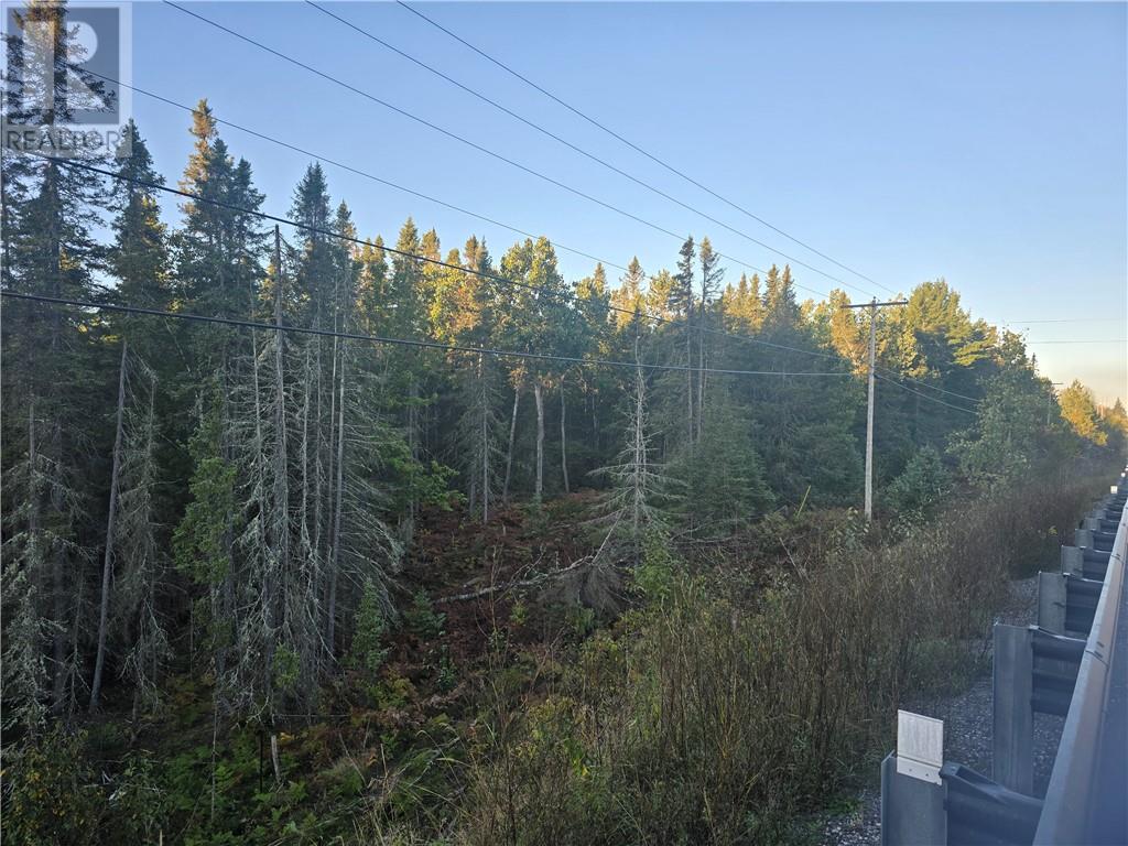 6042 Hwy 61, French River, Ontario  P0M 2K0 - Photo 4 - 2130548