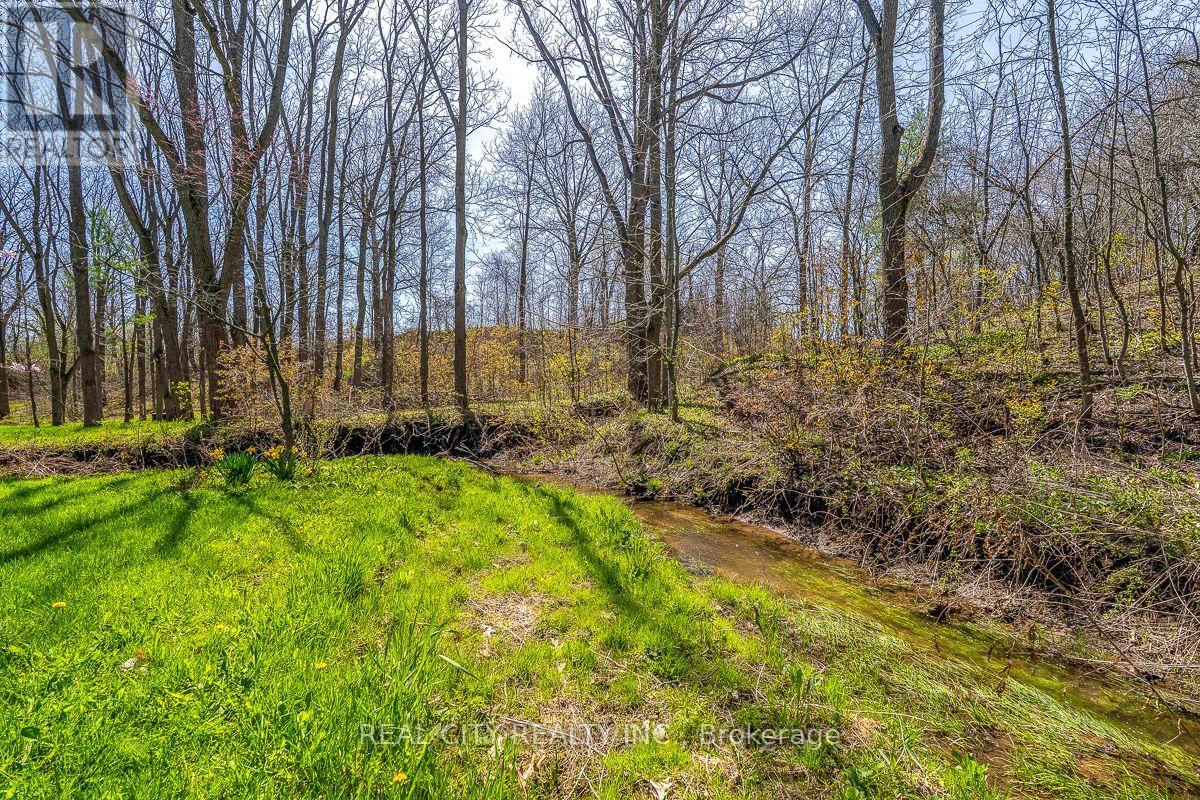 47 River Road, Brantford, Ontario N3R 0C1 - Photo 28 - X13823790