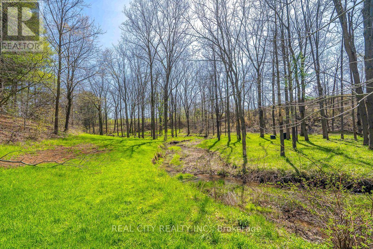 47 River Road, Brantford, Ontario N3R 0C1 - Photo 34 - X13823790
