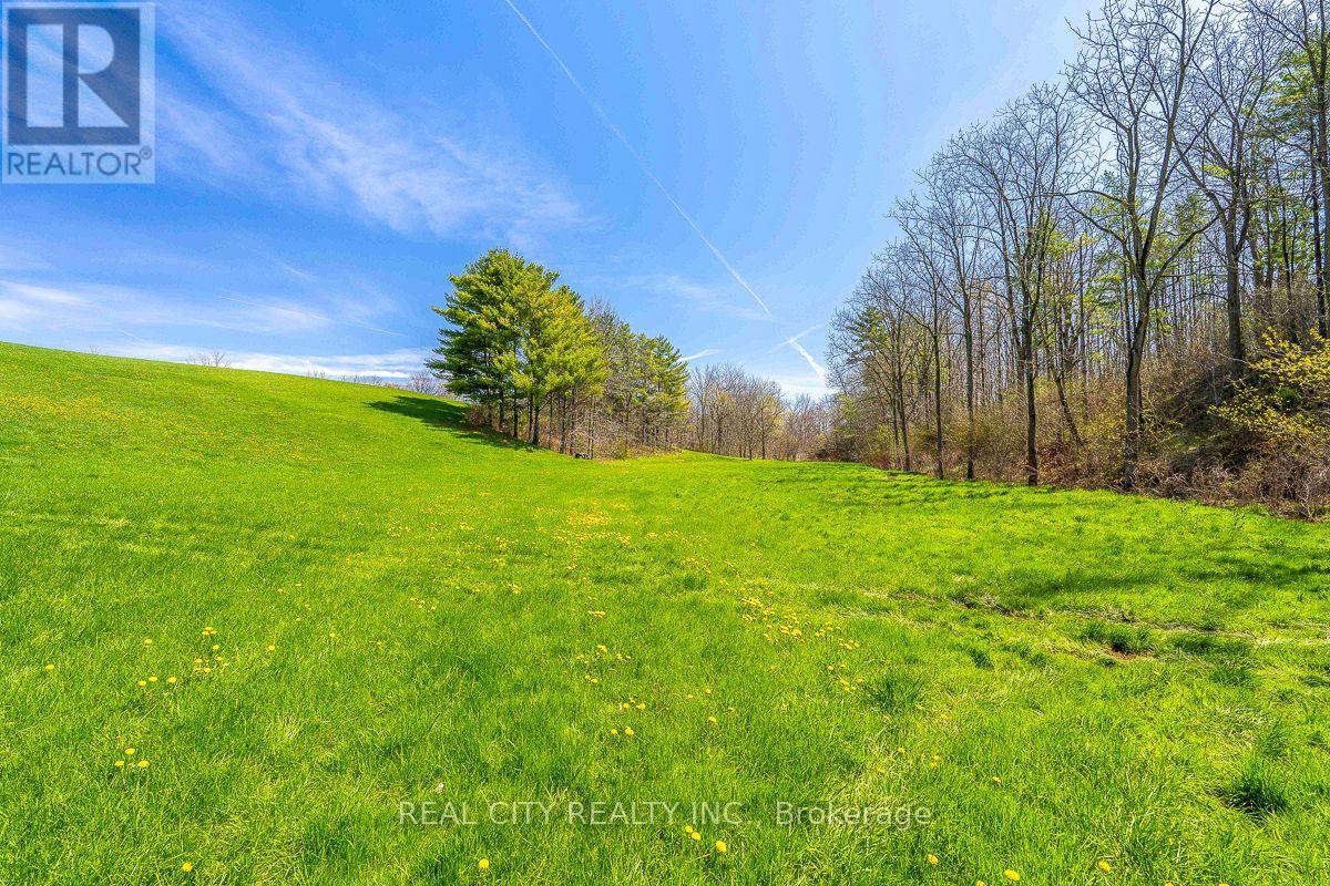 47 River Road, Brantford, Ontario N3R 0C1 - Photo 36 - X13823790