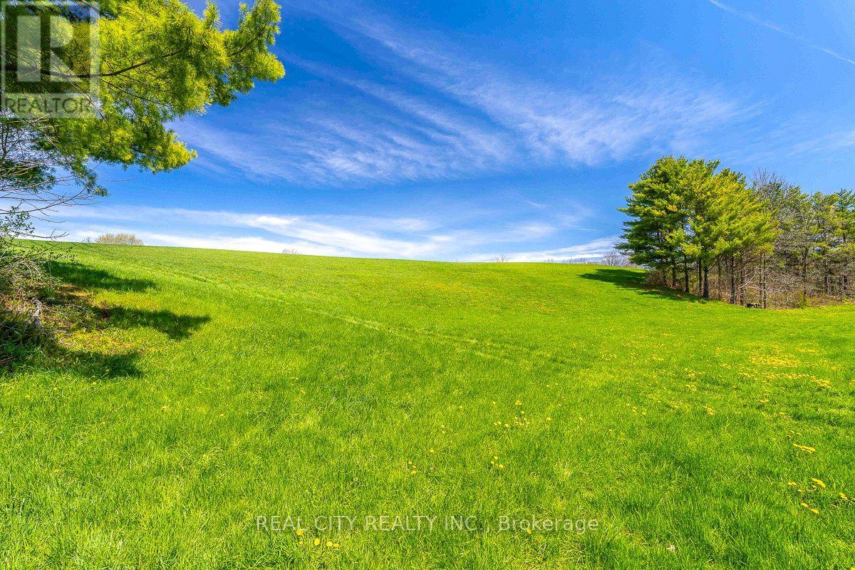 47 River Road, Brantford, Ontario N3R 0C1 - Photo 37 - X13823790
