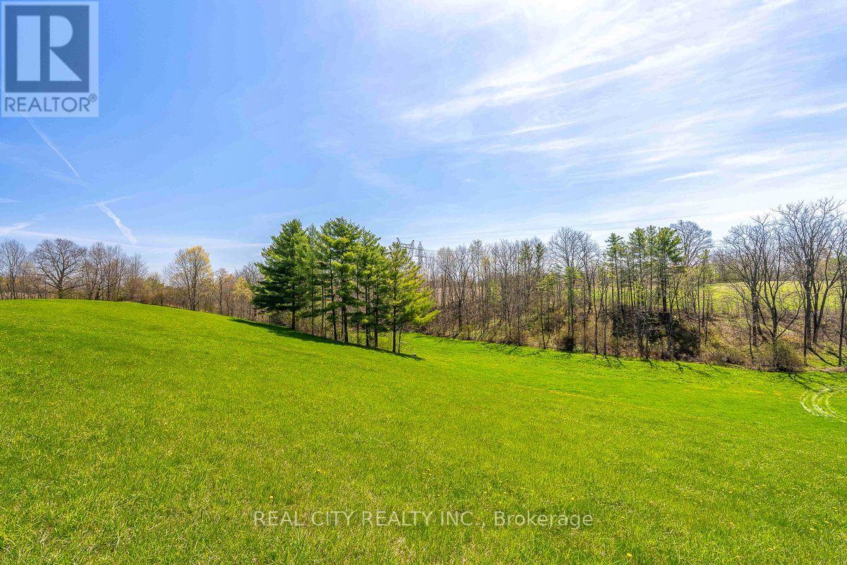 47 River Road, Brantford, Ontario N3R 0C1 - Photo 41 - X13823790