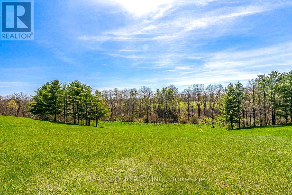 47 River Road, Brantford, Ontario N3R 0C1 - Photo 46 - X13823790