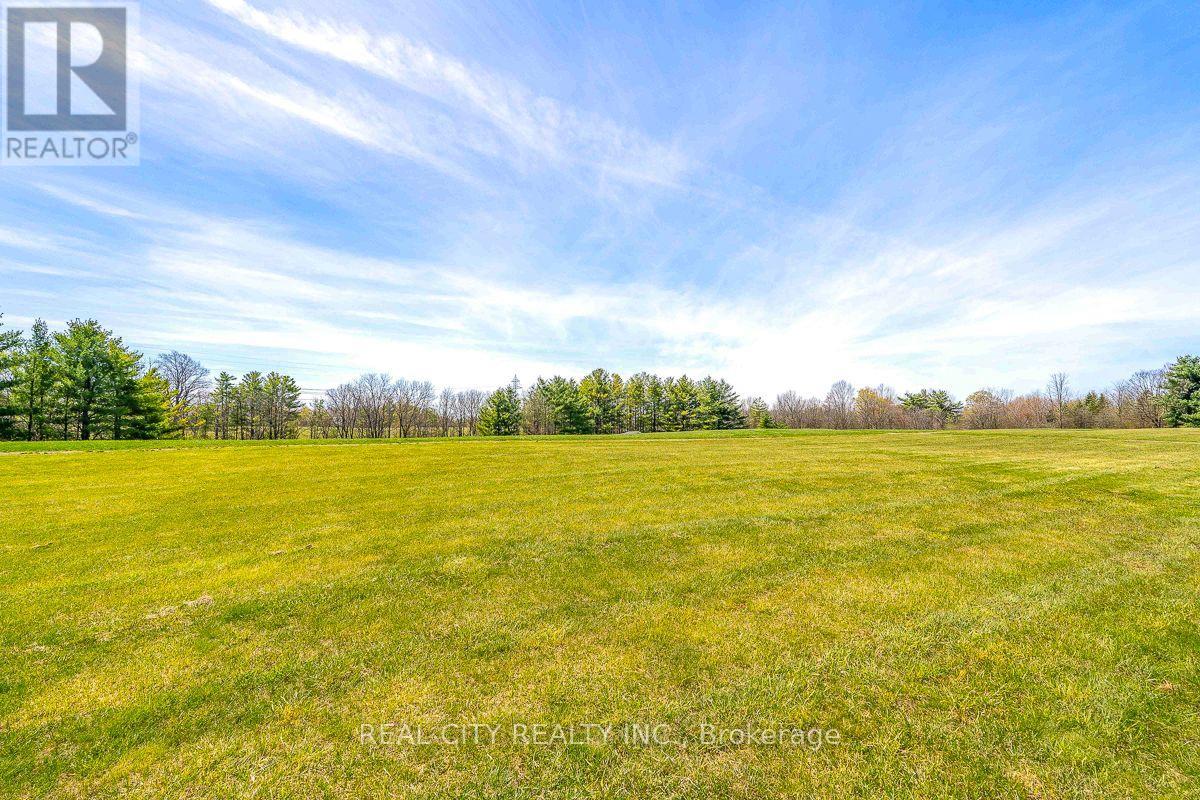 47 River Road, Brantford, Ontario N3R 0C1 - Photo 48 - X13823790