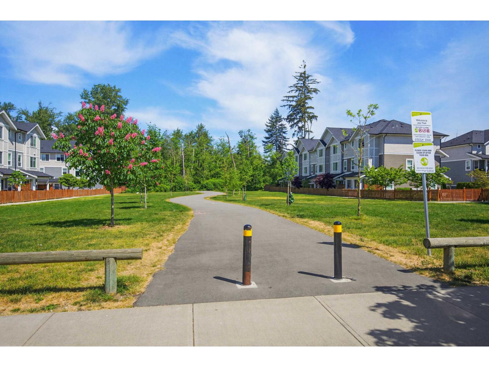 53 19501 74 Avenue, Surrey, British Columbia  V4N 6V7 - Photo 37 - R3169191