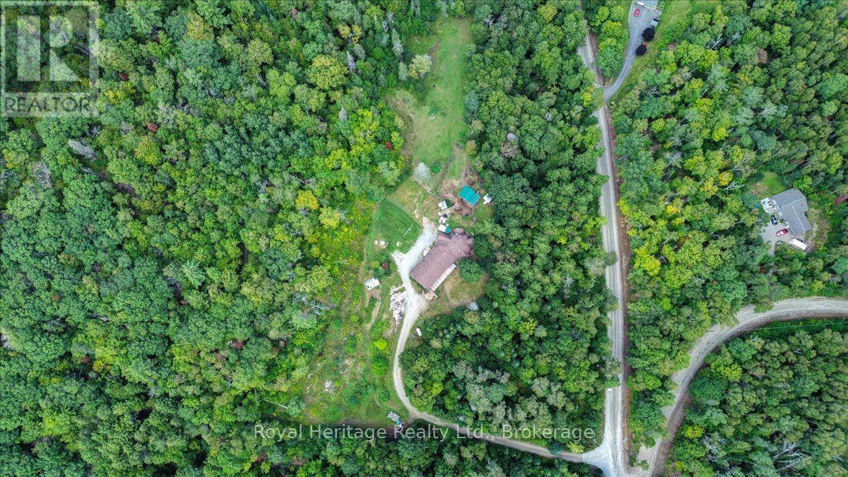 174 BIERWORTH ROAD photo 40