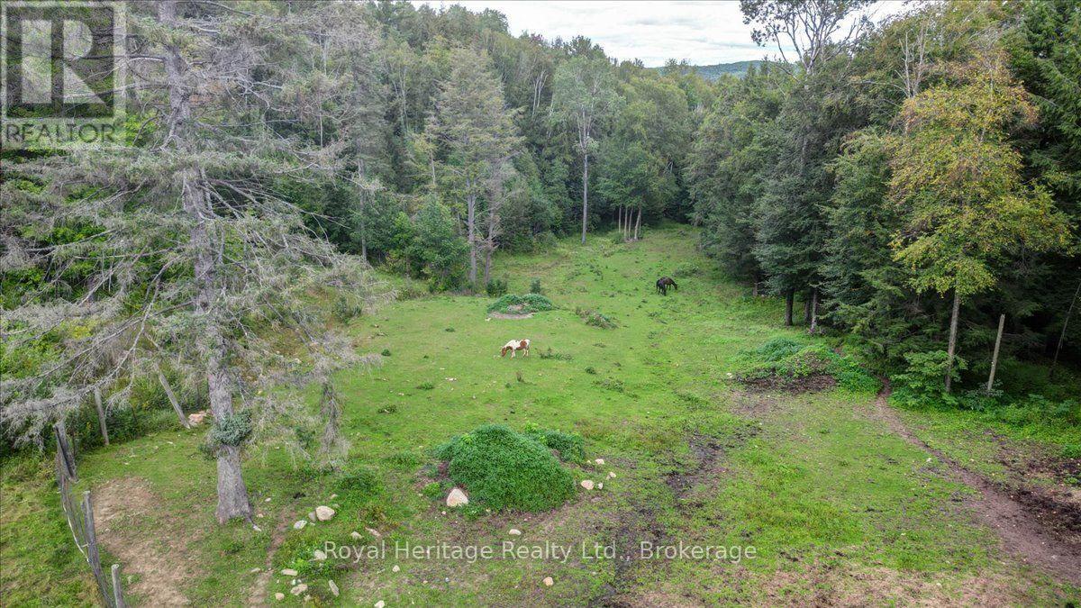 174 BIERWORTH ROAD photo 36