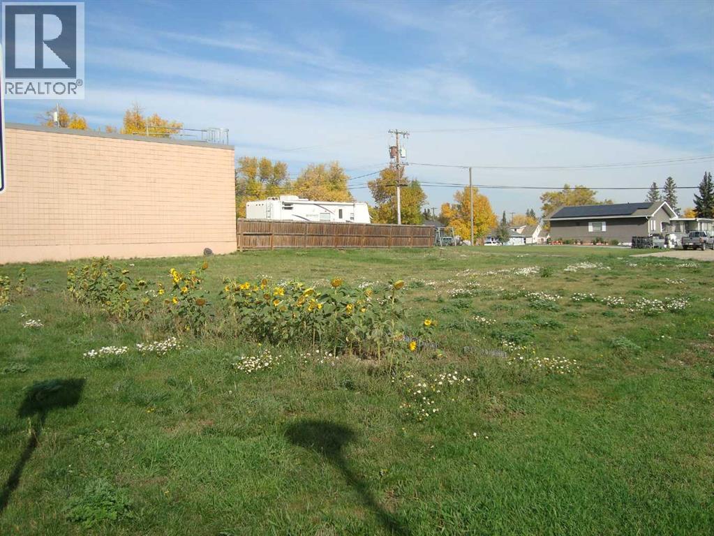 218 Main Street, Trochu, Alberta  T0M 2C0 - Photo 2 - A2347868