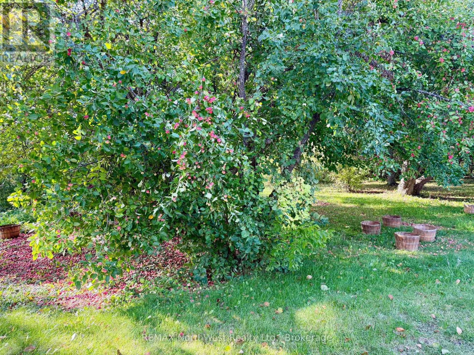 7567 Pcl 611 Highway N, Alberton, Ontario  P9A 3M2 - Photo 23 - X13803568