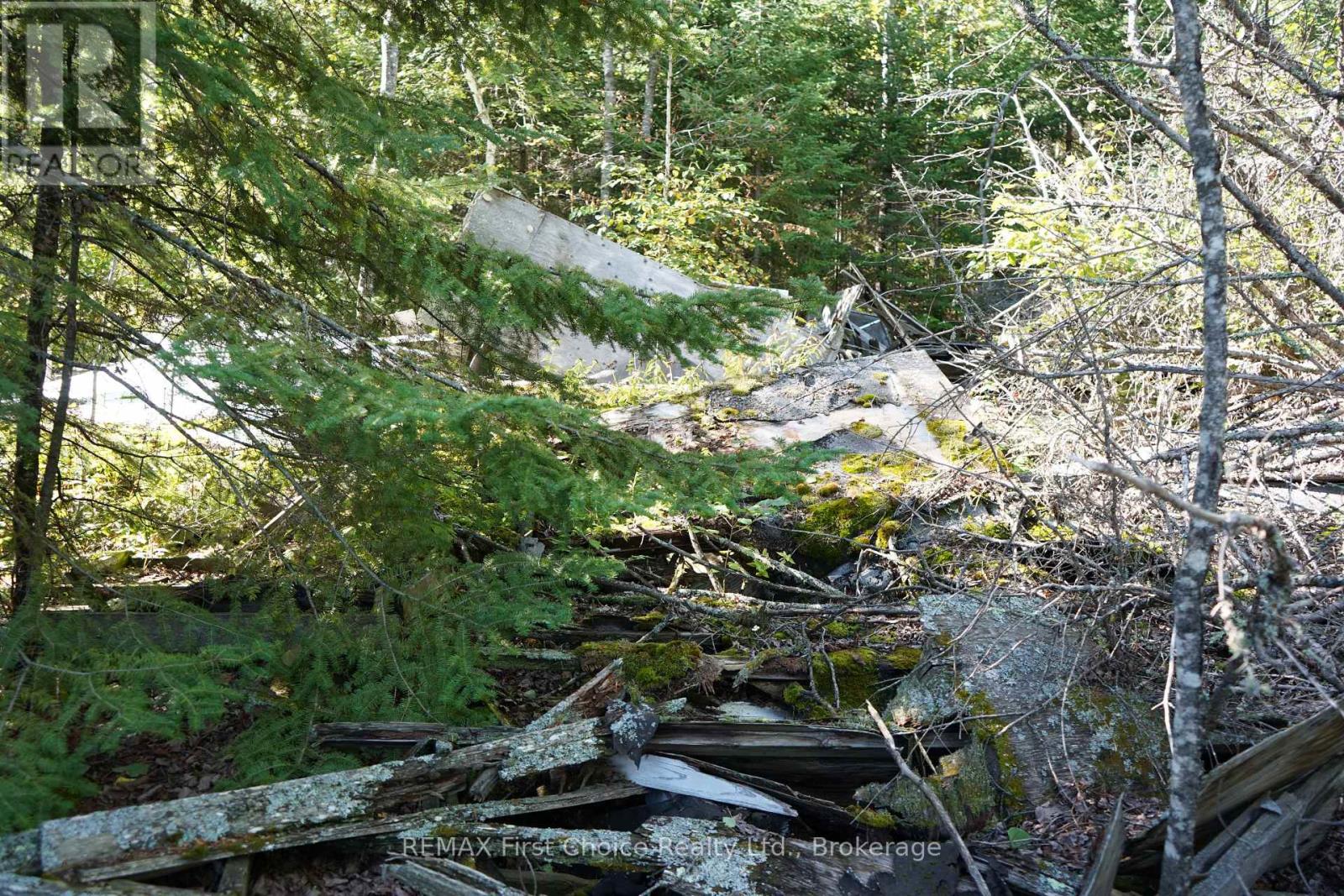 145 Little Sand Lake, Kenora Remote Area, Ontario  P0X 1J0 - Photo 24 - X13824196